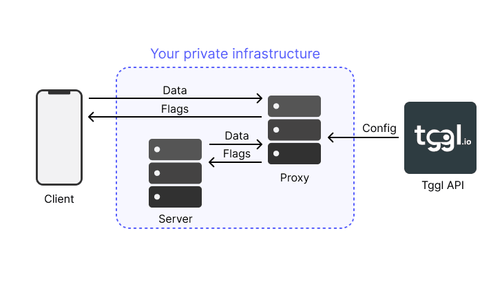 Proxy schema