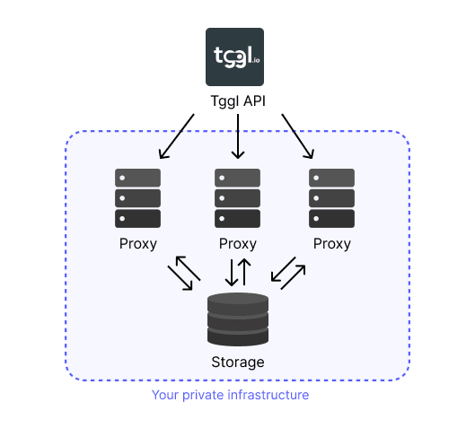 Proxy storage